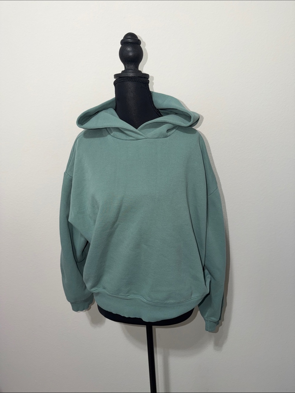 a new day Relaxed Hoodie in Sage Green B2